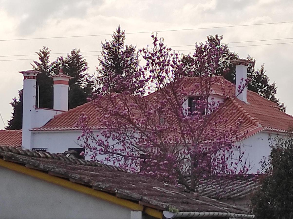 Apartamento Quinta Do Gestal - Soutelo Vila Verde  Exterior foto